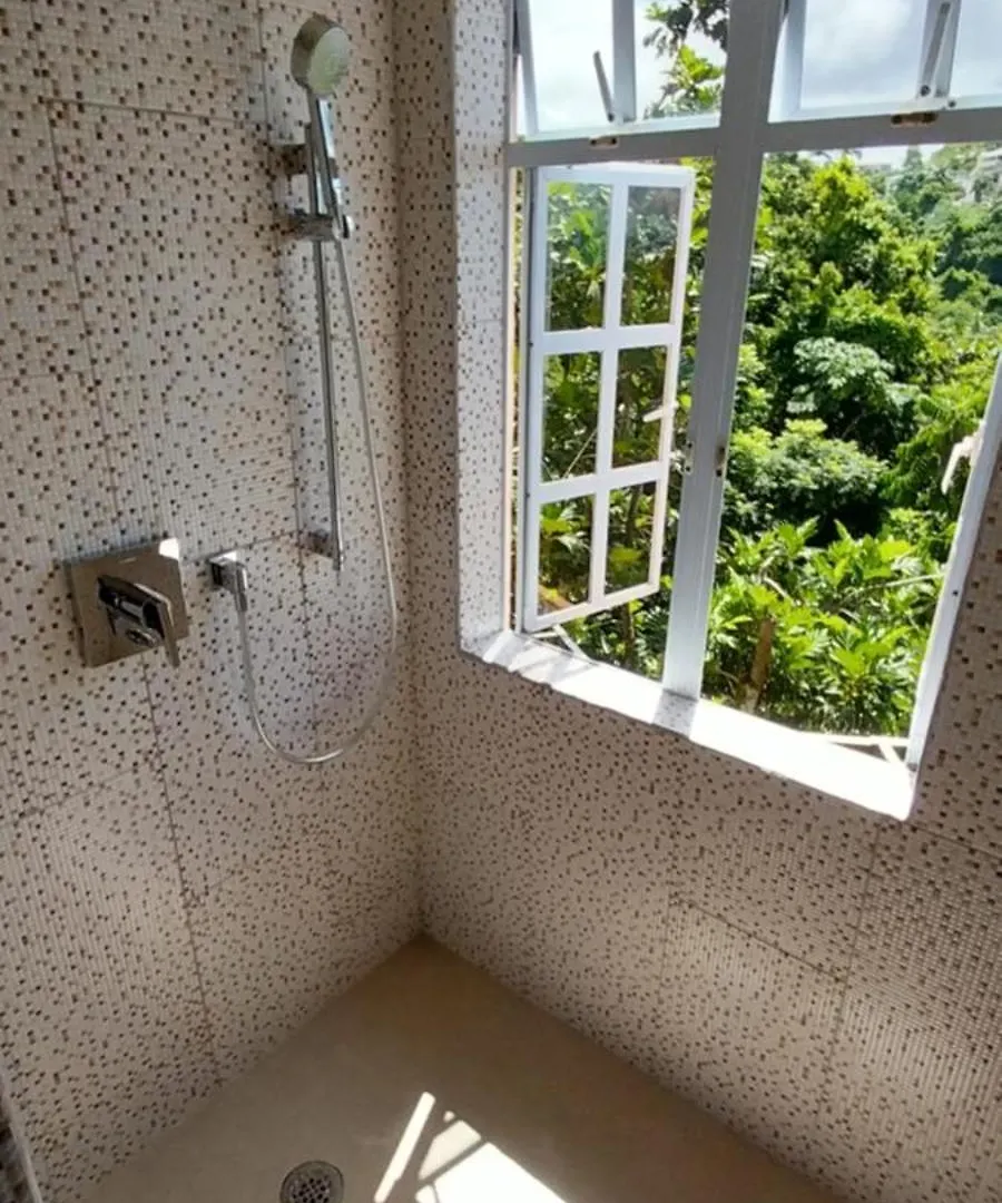 公寓 Union Hilltop Paradise Villas 卡斯特里 圣卢西亚